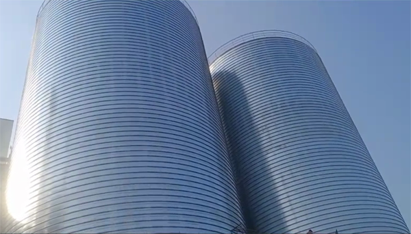 磴口2座混凝土高架卷板仓